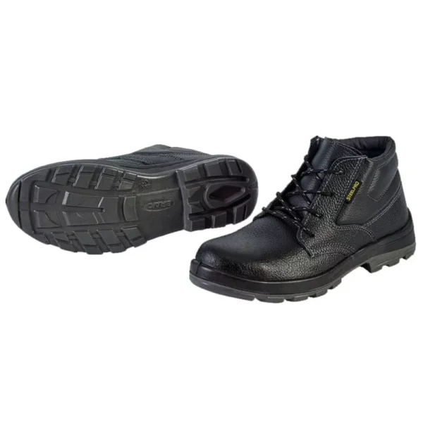 BOTA ECONOMICA